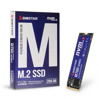 엠지솔루션 Biostar M760 M.2 NVMe (256GB)