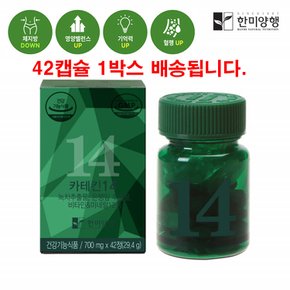 녹차 카테킨 은행잎 추출물 징코 멀티비타민 항산화 아연