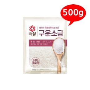 [CJ] 백설 구운 소금 500g