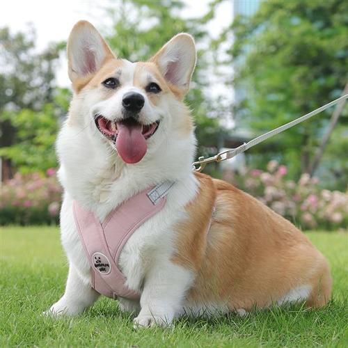 상품이미지6