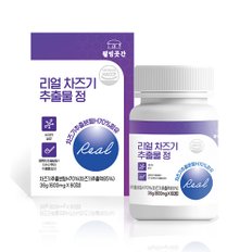 웰빙 리얼 차즈기 추출물 정 600mg 60정