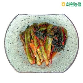 [화원농협] 이맑은김치 돌산갓김치 3kg