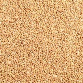 백기장 150g 앵무새 토끼 다람쥐 햄스터 새모이
