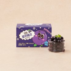 칠레산 냉동블루베리 140g(20g*7입)