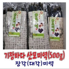 기장특산품 기장바다 산모미역(85Cm,500g)/가닥미역/장각미역/대각미역