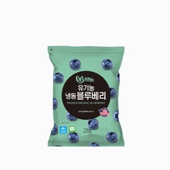  [냉동] 유기농 블루베리 1kg