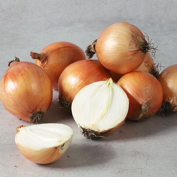 [농협청과33번] 양파 2kg - 대