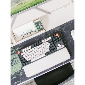 Desk Organizer_팜레스트 (3colors)