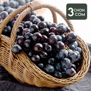 국내산 맛 좋은 고당도 캠벨포도 1kg
