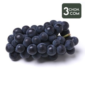 국내산 맛 좋은 고당도 캠벨포도 1kg