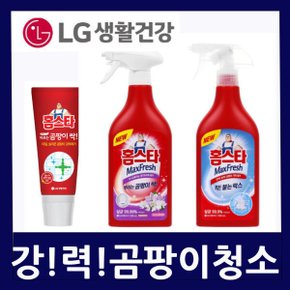 (LG홈스타 락스스프레이) 곰팡이청소 살균스프레이  강력세균제거 곰팡이박멸 악취제거