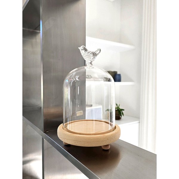 새가 머무는 유리 돔