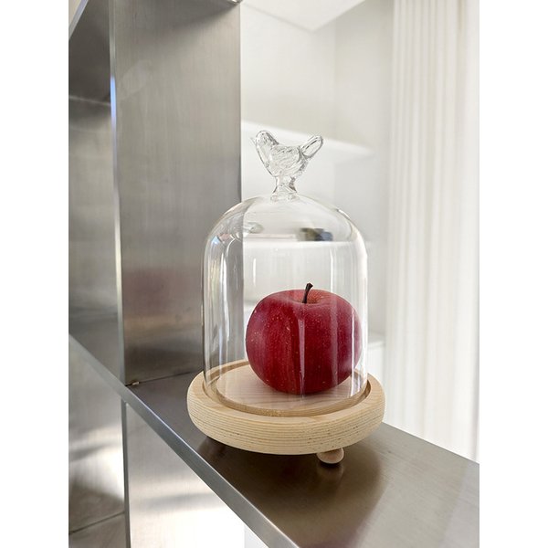 새가 머무는 유리 돔