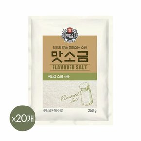 백설 맛소금 250g x20개