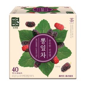 [녹차원] 국내산뽕잎차 40티백(구수한 맛)[30453613]