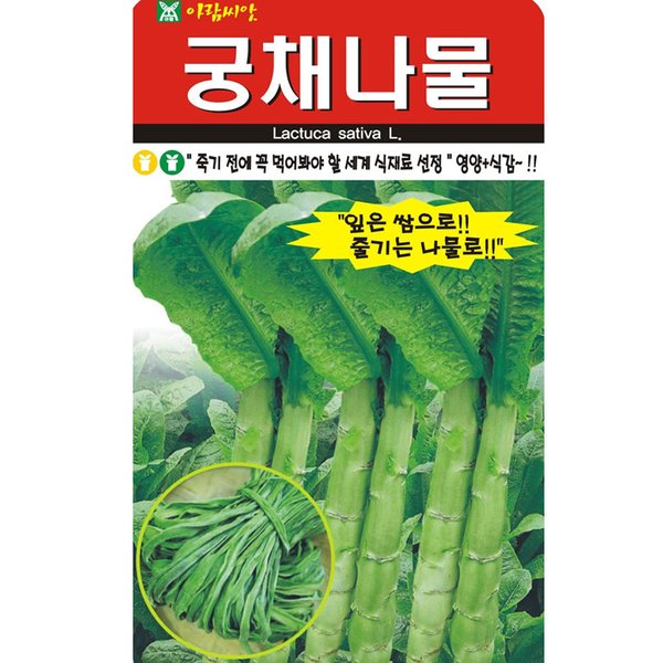 확대된 대표 대표이미지