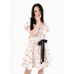 Ribbon broach dress (floral)