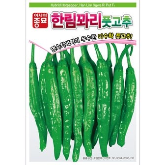 아시아종묘 고추씨앗종자 한림꽈리풋고추(30립)