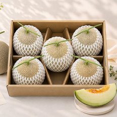 전남 곡성 유도열님 머스크 멜론 5수_7.5kg