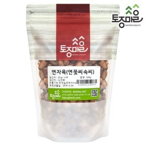 국산 연자육(연꽃씨속씨) 300g