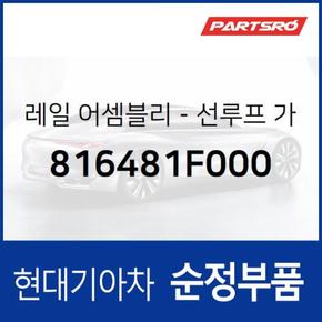 순정 선루프 가이드 레일우측 (816481F000) 그랜저TG, 쏘나타NF, 베라크루즈 현대모비스부품몰