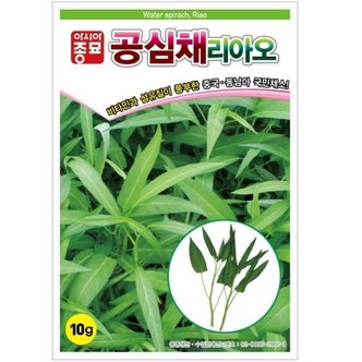아시아종묘 공심채씨앗종자 리아오(750g)