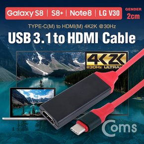 USB 3.1(Type C) 변환 케이블(HDTV) 20cm IE322