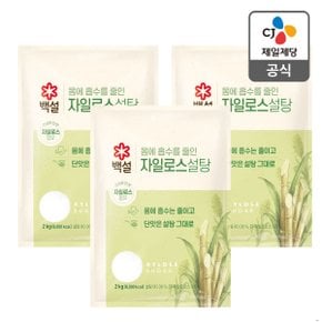 [CJ직배송] 하얀자일로스설탕 2kg X3개