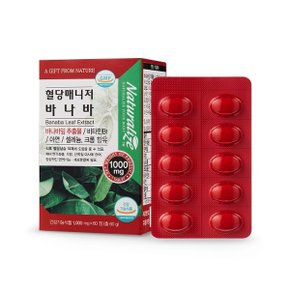 네추럴라이즈 혈당 배니저 바나바 1000mg x 60정