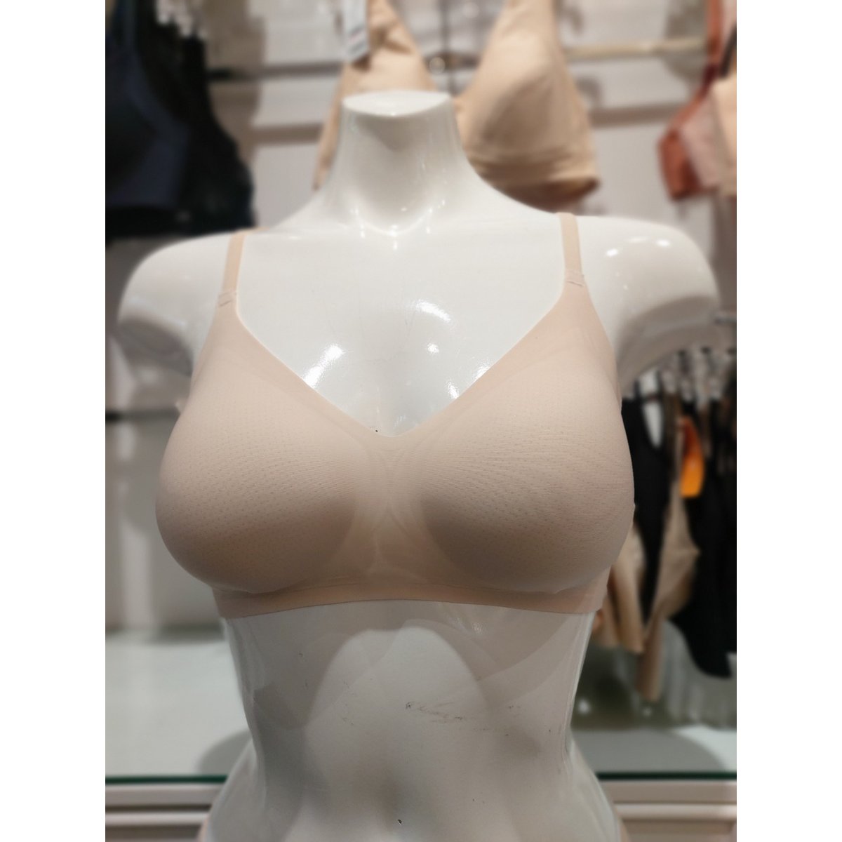 확대된 대표 .