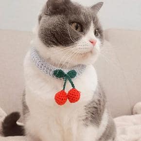 PET 강아지 고양이 뜨개 케이프 체리 스카프 (S30683465)