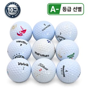 브랜드혼합 혼합 골프 로스트볼 A-급 10알/빅토리