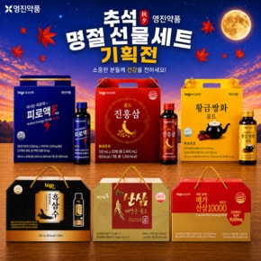 [본사공식몰] 영진약품 보고신약 홍삼/산삼/비타민 추석 선물세트 外 무료배송