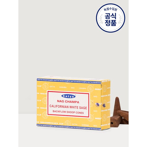 확대된 대표 Main Image