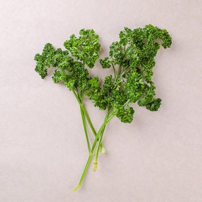 생파슬리 (15g)