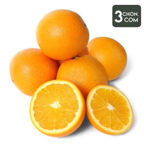 과즙뚝뚝 네이블 오렌지 3kg(13개입)