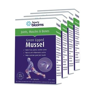 호주 블룸스 초록입홍합 그린 머셀 500mg 60정 4개