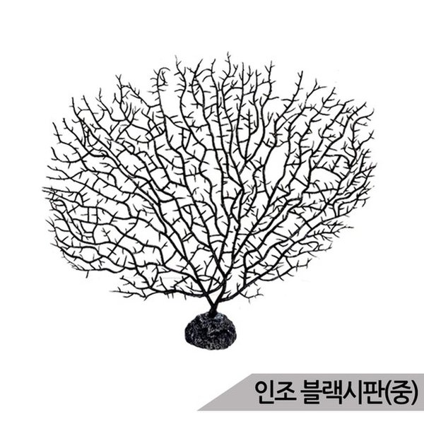 확대된 대표 대표이미지
