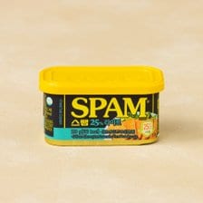 CJ제일제당 스팸25% 라이트 200g