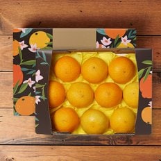 [부직포가방 포장]제주 황금향 2kg 소과 10-12과 선물세트