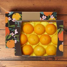 [부직포가방 포장]제주 황금향 2kg 소과 10-12과 선물세트