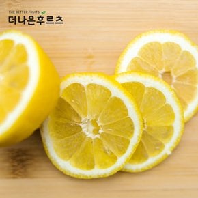 특품 신선 미국산 레몬 1kg 내외 선물용 가정용