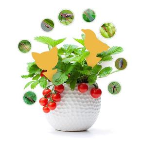 화분 벌레 퇴치 진딧물 제거 총채 흰솜 깍지 개각충 (S30682317)