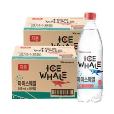 광동 아이스웨일 자몽 500ml 20병 X 2박스 (40병)