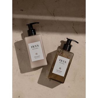 테이크어샤워 피쿠스 바디 선물 세트