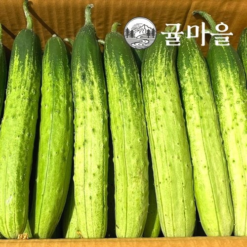 추가2이미지