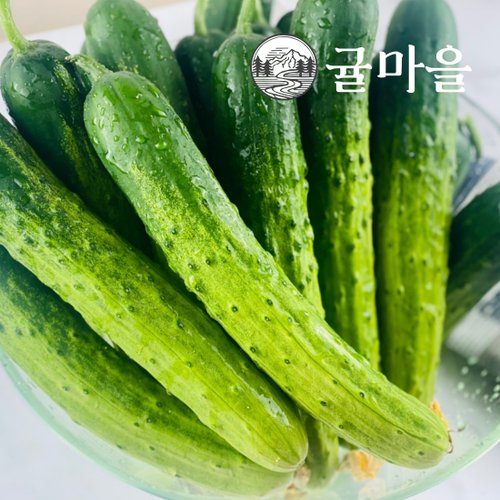 추가4이미지