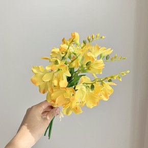 프리지아 부쉬 조화 (옐로우)