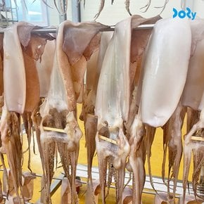 [도리마켓] 국내산 부드러운 반건조 오징어 10미 총 1.2kg