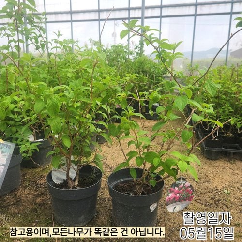 추가이미지2